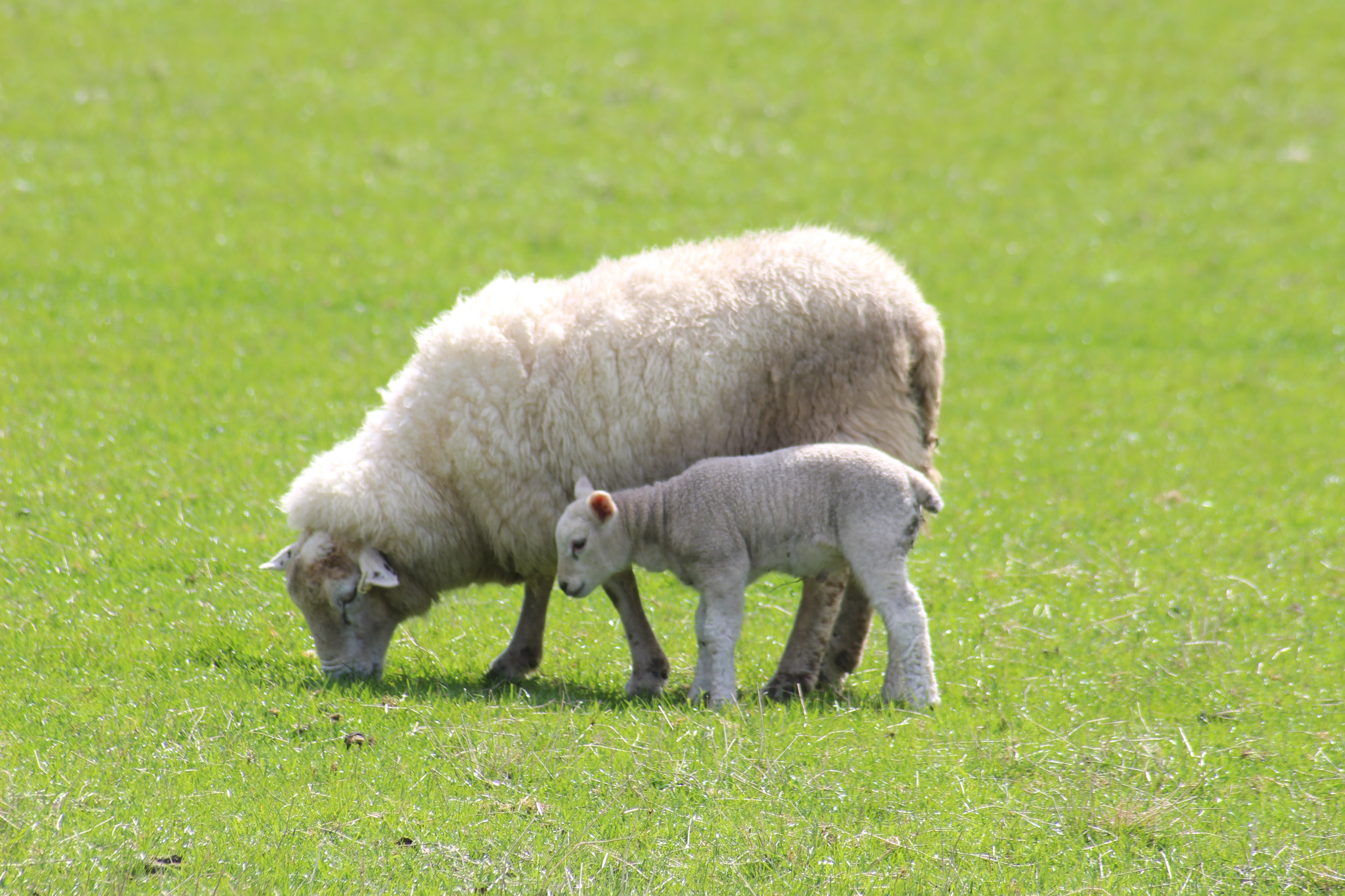 ilse-orsel-FhxpxPem7ZM-unsplash Hotel De 14 Sterren - Overnachten in de Texelse natuur